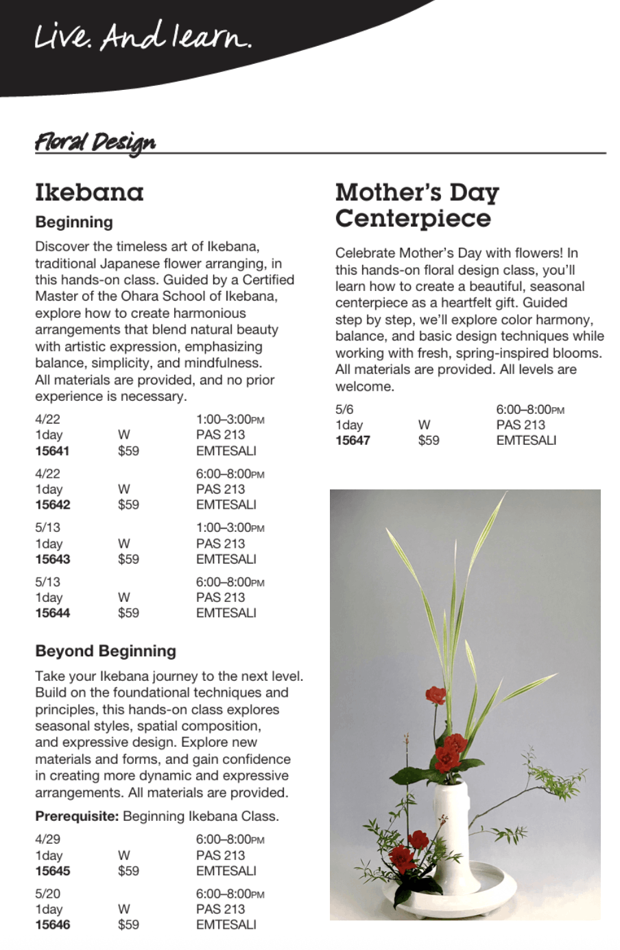 Ikebana Workshop by Nakaba Emtesali