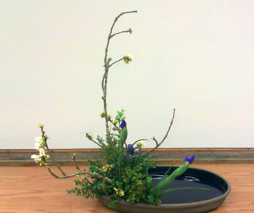 Ikebana Flower Arrangement by Nakaba Emtesali
